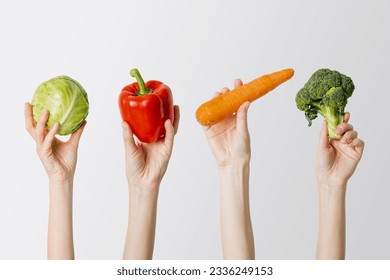 Collage with female hands holding cabbage, paprika, carrot, broccoli on white background. - Powered by Shutterstock