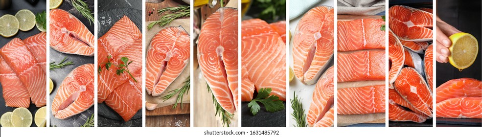 Collage with fresh raw salmon, banner design. Delicious fish - Shutterstock ID 1631485792