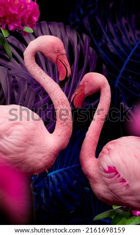 Collage with Gorgeous Flamingo birds. Tropical Theme Wallpaper with Flamingos. Summer Natural background.