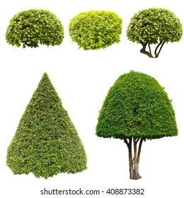 Collage Green Trees And Bushes Isolated On White Background