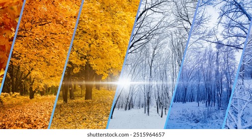 Collage illustrating transition from golden autumn to winter. Autumn leaves give way to snow-covered trees, capturing seasonal shift and beauty of nature, changing seasons and passage of time - Powered by Shutterstock