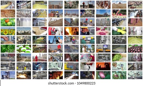 Collage industrial production. People working in a food industry, construction, agriculture, farm animal, foundry, processing factory, bakery, metal industry, production of fruits and vegetable