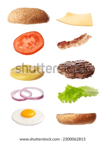 Collage with ingredients for burger on white background