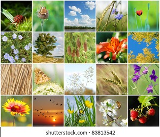 Collage Nature Made 20 Pictures Stock (Edit Now) 83813542