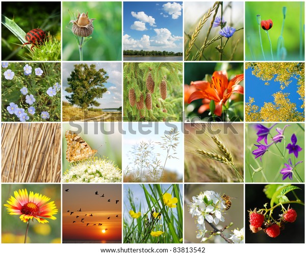 Collage Nature Made 20 Pictures Stock Photo (Edit Now) 83813542