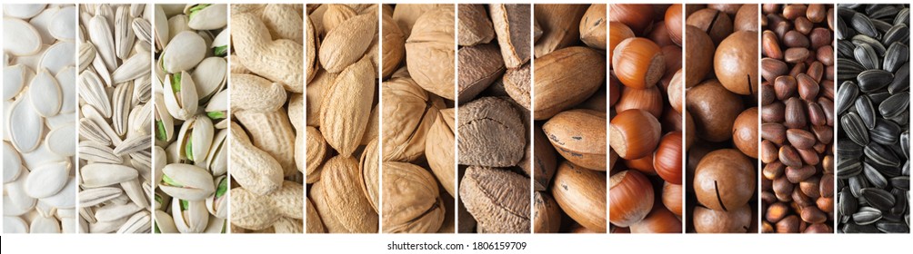 collage nuts and seeds  in shell, top view. assorted healthy food background