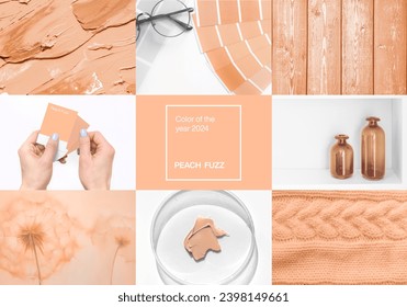 Collage Peach beige color 2024
