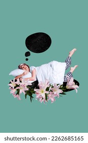 Collage photo artwork young sleeping chilling nap nature beautiful flowers minded dream imagination comfort pillow isolated blue background