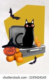 Collage photo of little sitting black cat music recorder player light candles angry horrible jack lantern halloween isolated on painted background - Shutterstock ID 2195424143