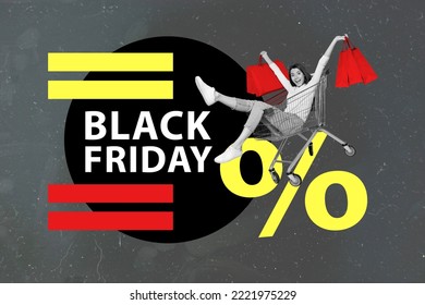 Collage photo poster of young excited girl shopaholic driving cart basket hold packages black friday big logo isolated on grey color background