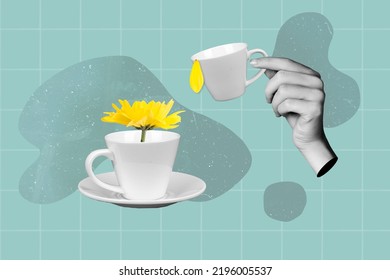 Collage photo yellow flower cup drink hands holds coffee isolated blue paint color background