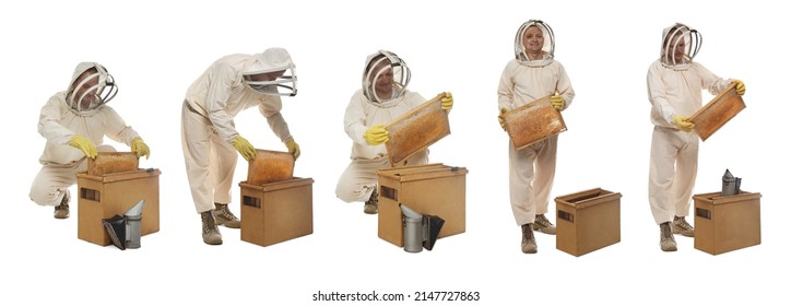 Collage with photos of beekeeper in uniform holding frames with honeycombs on white background. Banner design