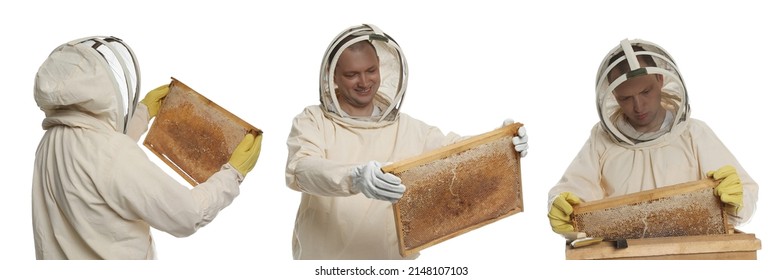 Collage with photos of beekeeper in uniform holding frames with honeycombs on white background. Banner design