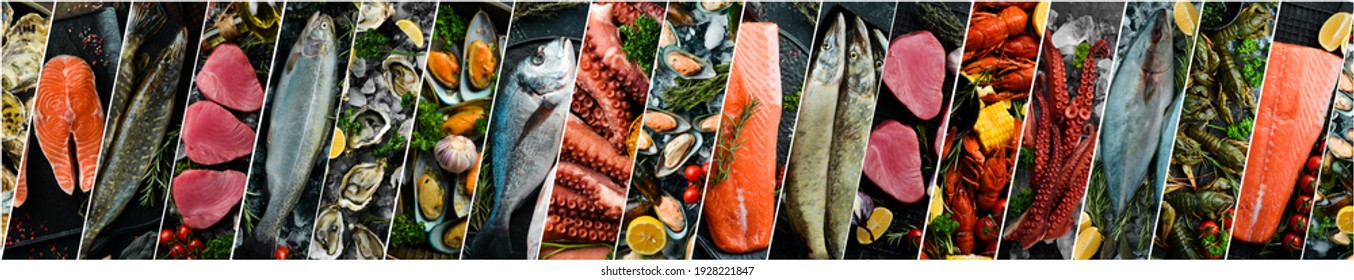 Collage of photos of seafood. Fresh fish and seafood. The concept of healthy eating.
