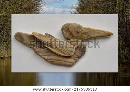 Collage of photos. Wooden bird made of the sea drift wood pieces and background of lake. Driftwood art natural decoration. Driftwood crafts. Macro.