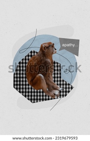 Collage picture artwork sketch of jungle exotic little animal primate bad negative emotion low energy isolated on drawing grey background