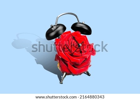 Collage picture of red rose flower retro clock ring shadow isolated on bright creative blue background
