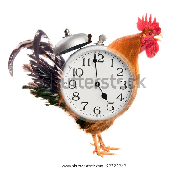 rooster alarm clock sound effects