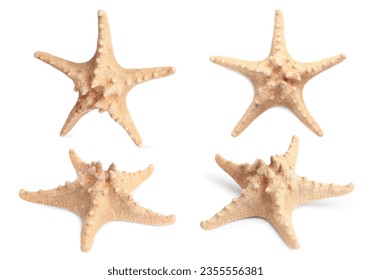 Collage with sea star isolated on white, different angles