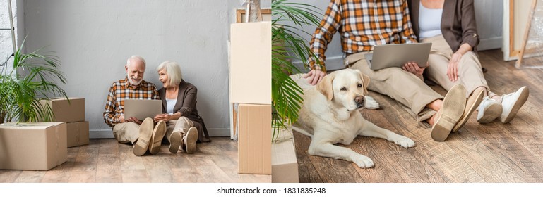 Collage Of Senior Couple Sitting On Floor With Laptop And Husband Petting Dog, Moving Concept