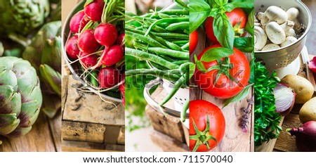 Collage set fresh organic vegetables herbs. Ripe tomatoes, radish, green beans, artichokes, mushrooms, potatoes, parsley, garlic, onions. Summer, autumn fall harvest, farmer's market, organic produce.