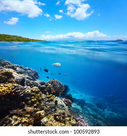 Collage Of Underwater Coral Reef And Sea Surface With Green Island  On The Background