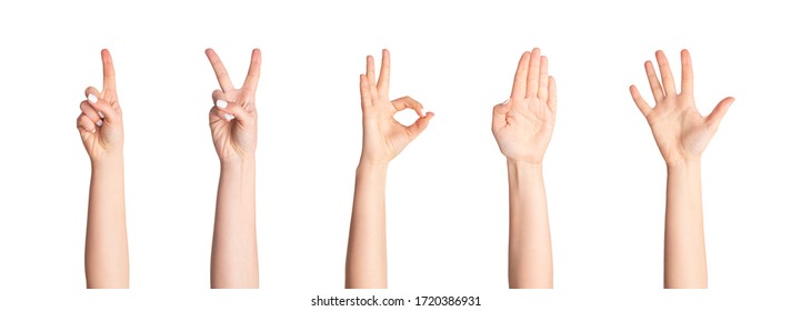 Collage with unrecognizable woman showing various gestures isolated on white, closeup. Panorama - Powered by Shutterstock