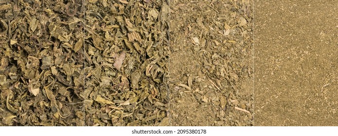 collage of used or brewed dried green tea leaves, to be used as natural organic fertilizer, increase nutrient levels and improve soil quality, whole leaves to powder