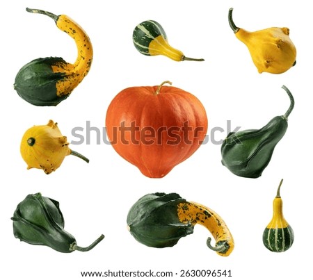 Collage of various pear-shaped gourds and big orange pumpkin. Decor for Halloween, Thanksgiving Day. Isolated on white background