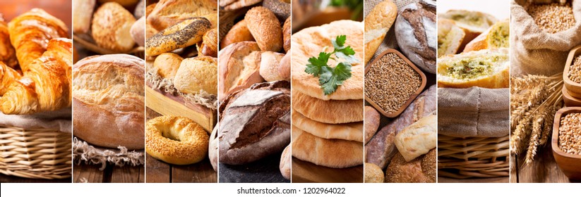 collage of various types of fresh baked bread