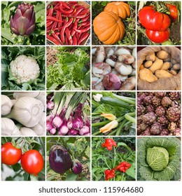 10,755 Farm collage Images, Stock Photos & Vectors | Shutterstock