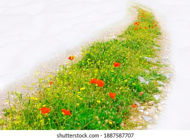 Collage Winter Vs. Spring And Summer With Wild Poppies On Mountain Road