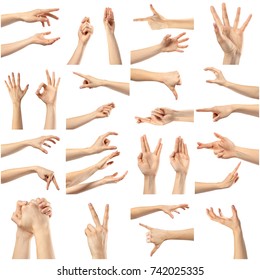 Collage of woman hands - Shutterstock ID 742025335
