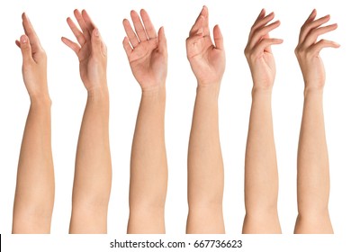 Collage of woman hands on white backgrounds - Shutterstock ID 667736623