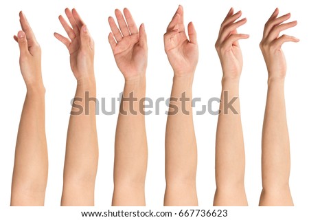 Collage of woman hands on white backgrounds