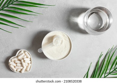 Collagen powder in a bowl, collagen capsules and a glass of water on a gray background with palm leaves. A natural supplement. Fish based or plant based. Top view, flat lay.