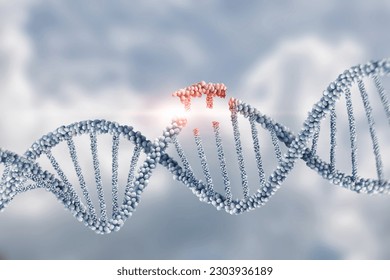 Collapsing DNA molecules on a blurred background.