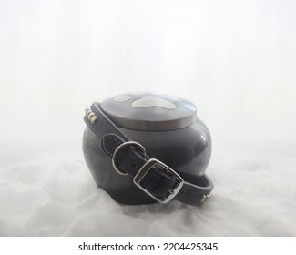 Collar Of A Pet Dog Around An Urn