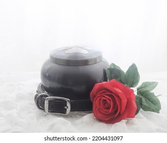 Collar Of A Pet Dog Around An Urn With A Rose In Remembrance Of A Beloved Pet