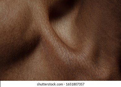 Collarbones. Detailed texture of human skin. Close up shot of young african-american male body. Skincare, bodycare, healthcare, hygiene and medicine concept. Looks beauty and well-kept. Dermatology.