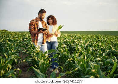 Collecting data by using digital tablet. Man and woman are on the corn agricultural field.