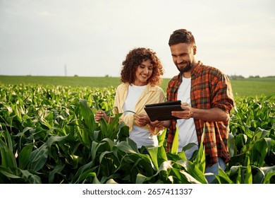 Collecting data by using digital tablet. Man and woman are on the corn agricultural field.