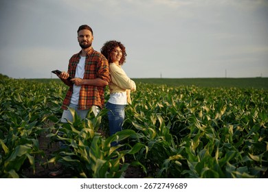 Collecting data by using digital tablet. Man and woman are on the corn agricultural field.