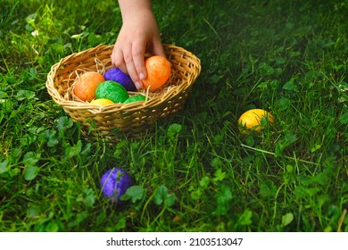 Collecting Easter Eggs.Easter Egg Hunt. Child Collects Easter Eggs In A Basket In The Spring Garden.Colorful Easter Eggs. Religious Holiday Tradition.