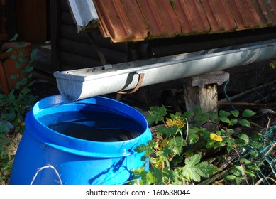 Collecting Rainwater For Watering The Garden