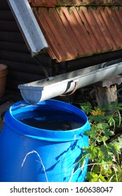 Collecting Rainwater For Watering The Garden