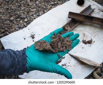 Collecting Soil Samples To Test For Contaminants During An Environmental Impact Assessment 