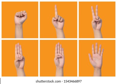 Collection 0 5 Fingers Count Signs Stock Photo 1543466897 | Shutterstock