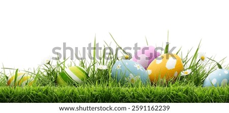 A collection of 6 painted easter eggs template celebrating a Happy Easter with cut green meadow grass and daisies with a white background