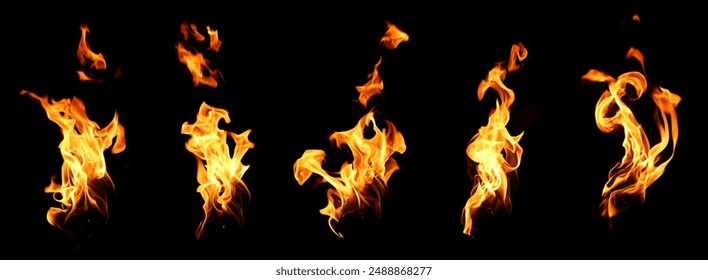 collection abstract flame isolated black background. concept of effect texture ablaze, graphic design bonfire, blaze at night. burn of fire sizzling, danger explosion